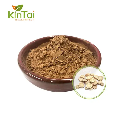 astragalus extract powder